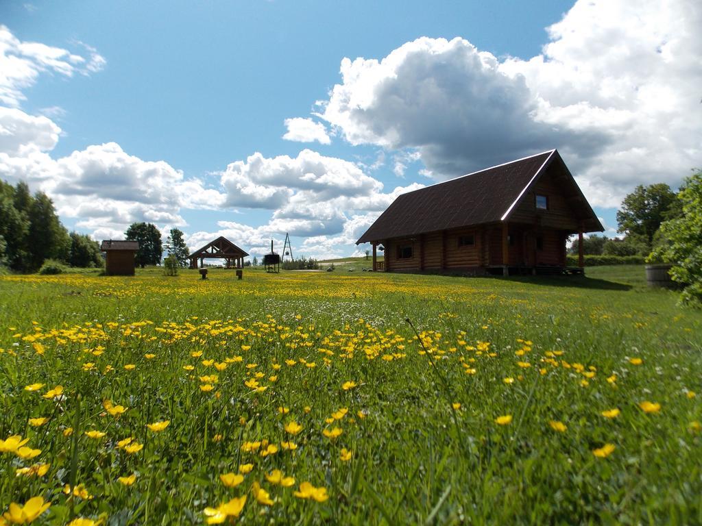 Guest House Kalnini Karli Екстер'єр фото